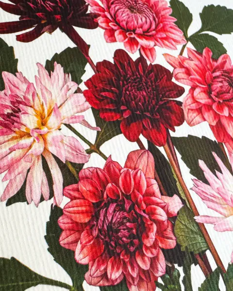 CANONBURY PRESS | DAHLIAS GREETING CARD 