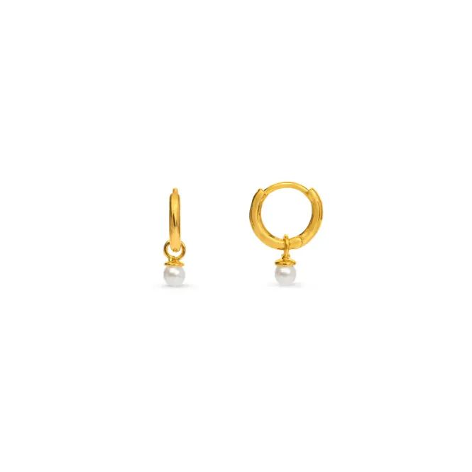 Hovedbilde Orelia Mini Micro Pearl Drop Earrings 